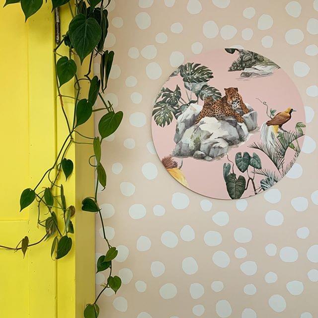 2-Dutch-Sprinkles-foto-schilderij-muur-decoratie-print-rond-trend