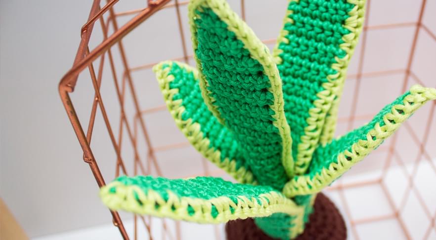 Wolplein-DIY-plant-haken-planten-vetplanten-haakpatroon-gratis