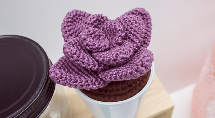 Wolplein-DIY-plant-haken-planten-vetplanten-haakpatroon-gratis