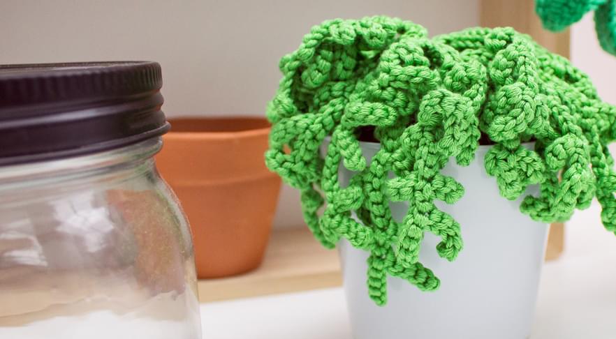 Wolplein-DIY-plant-haken-planten-vetplanten-haakpatroon-gratis