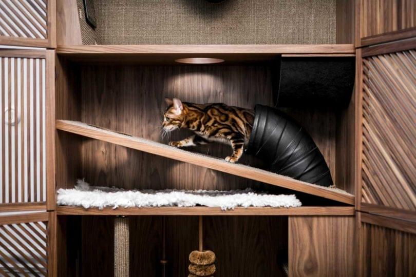 24Storage-Cat-Flat-kast-kat-katten-paradijs-speelgoed-kattenhuis