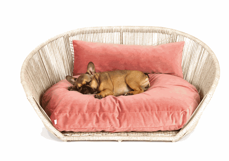 Laboni-hond-honden-bed-mand-bank-kussen-interieur-luxe-boxspring