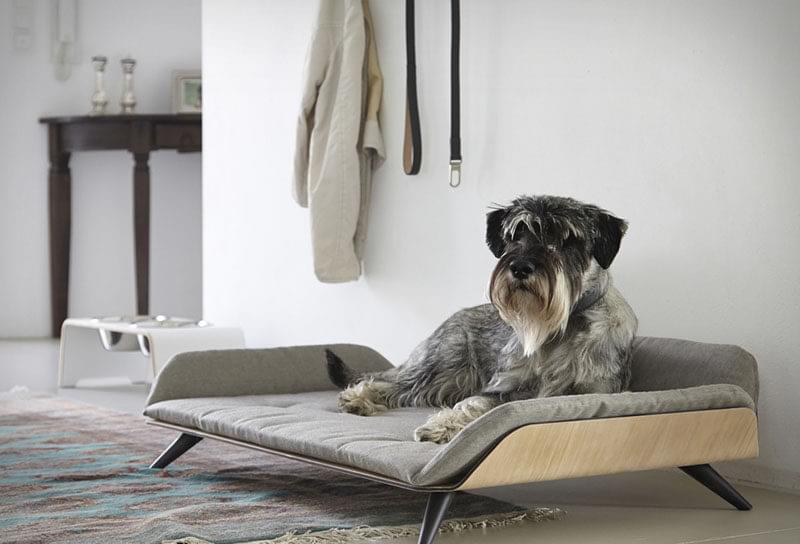 Letto-daybed-hond-honden-bed-mand-bank-kussen-interieur-luxe-boxspring