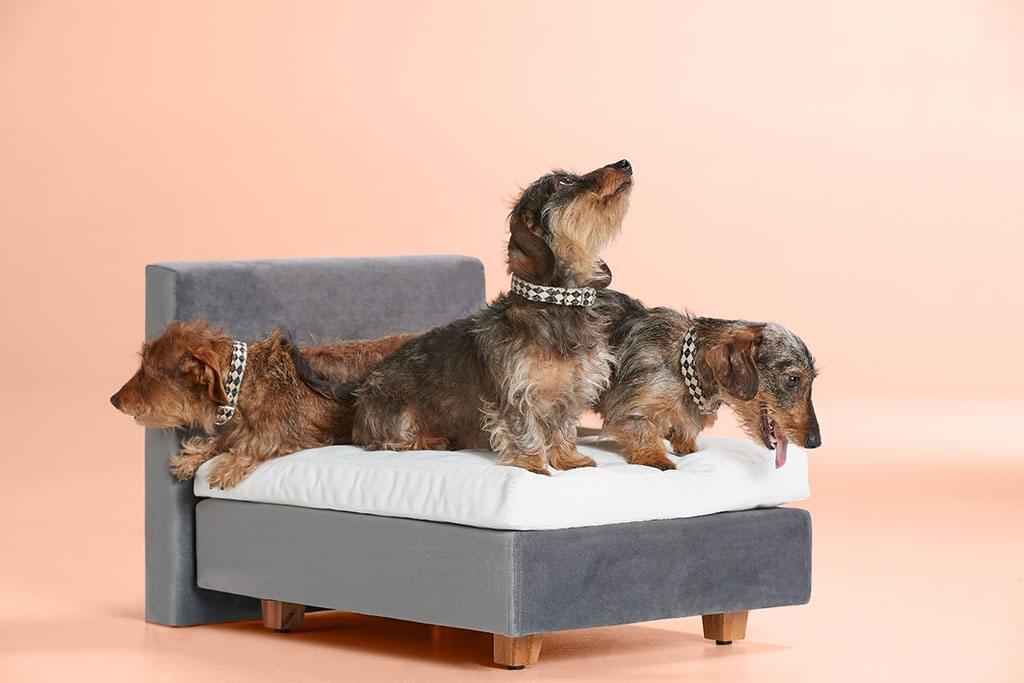 Swiss-Sense-hond-honden-bed-mand-bank-kussen-interieur-luxe-boxspring