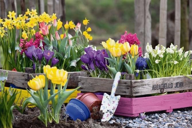 bron-rijnhoven-pot-tuin-voorjaar-lente-zomer-tips-schoonmaken-klaar-snoeien-gras-maaien-onkruid-ongedierte