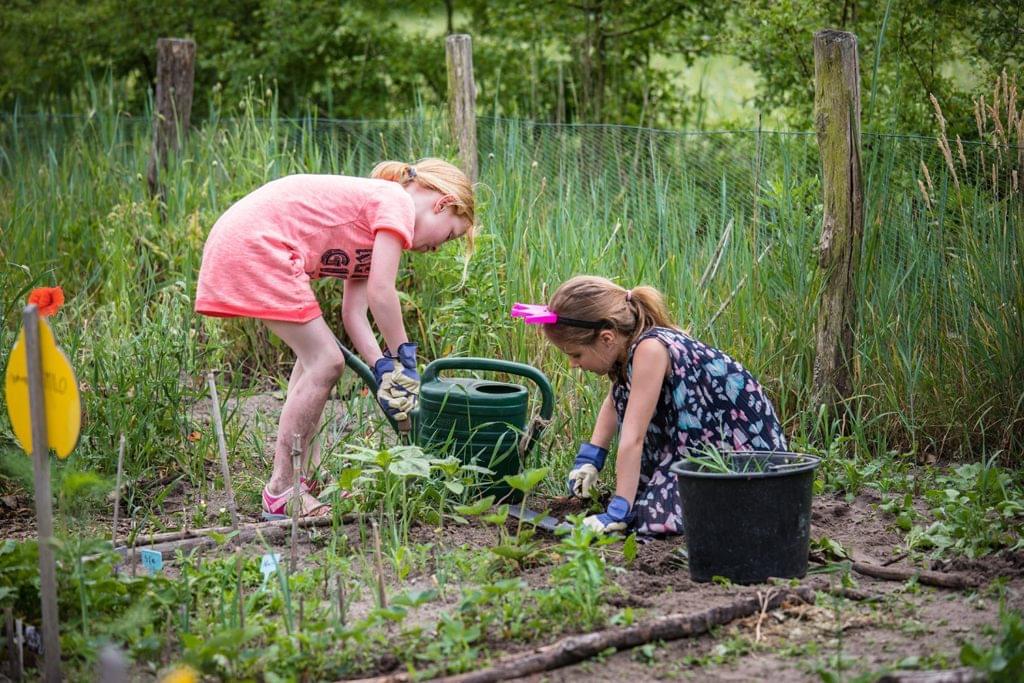 creatief-kinderen-kidsproof-tuin-zomer--moestuin-tuin