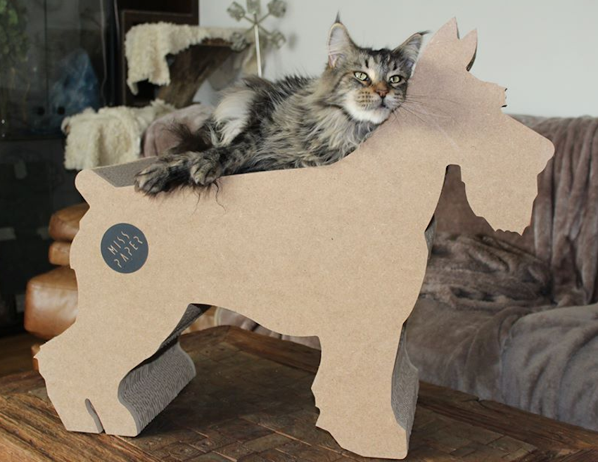 purrfect-design-krabpaal-krabmeubel-kat-katten-cat-cats-scratchingpost-terrier-karton