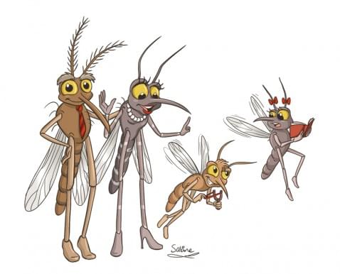 Foto : Irritant gezoem en rode jeukbulten - muggen zijn irritant: zo kun je ze wegjagen