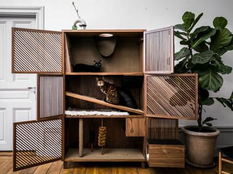 Foto : Deze designkast is een paradijs voor katten