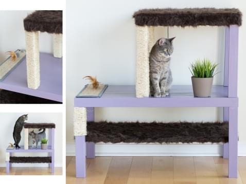 Foto : Makkelijk DIY project: een vrolijk kattenhuis