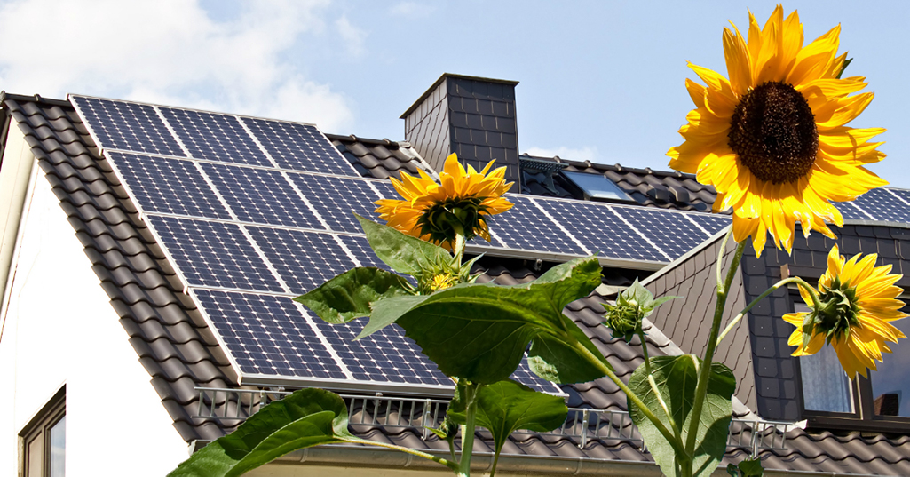 Foto: 2018-04/zonnepanelen-met-zonnebloemen-zonne-energie-is-duurzaam-en-rendabel.jpg