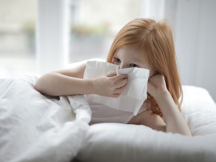 Foto: hooikoorts-raamdecoratie