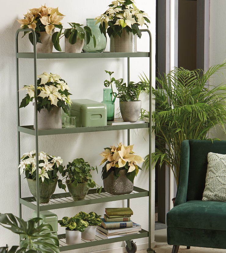 Foto: kerstster-idee