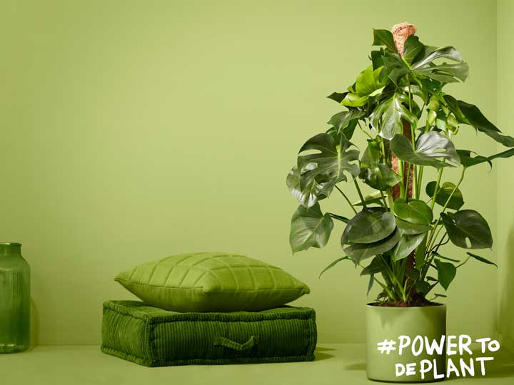 Foto: Power-to-de-plant-pokon-app
