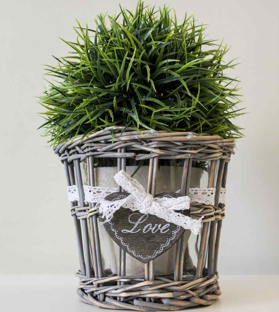 Foto: lente-groen-kunst-plant