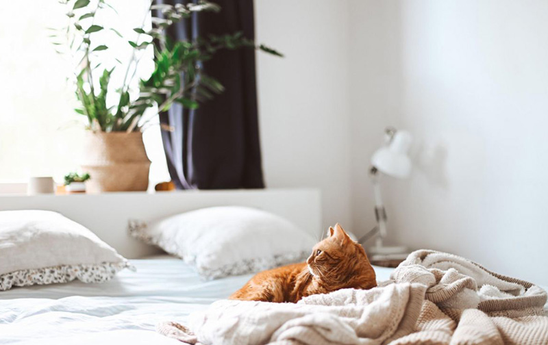 Foto: mline-shopping-awards