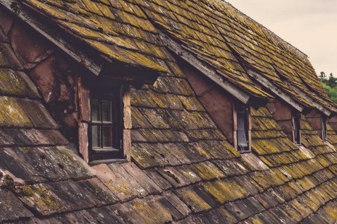 Foto : 3 tips om je dak te onderhouden
