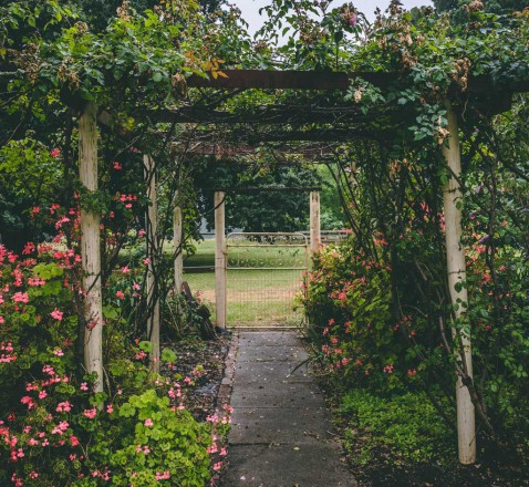 Foto : Heb jij een grote tuin? Dit kun je er allemaal mee doen!