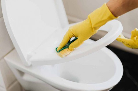 Foto : Handige tips voor en fris een schoon toilet