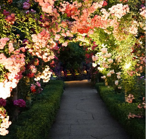 Foto : Zo maak je van je tuin een ware oase