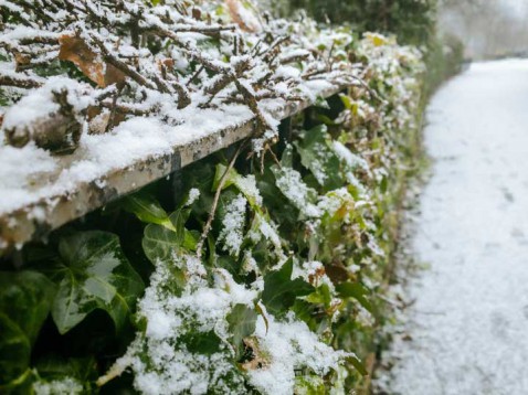 Foto : Tips voor het onderhouden van jouw tuin in de winter