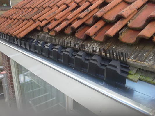 Foto: blog-afbeelding-202210101420