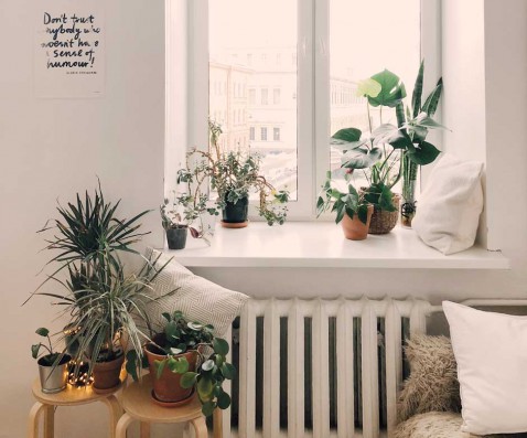 Foto : 4x ken je deze plantentrends al?