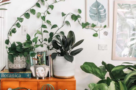 Foto : Zo maak je van je woonkamer je groene droomkamer!