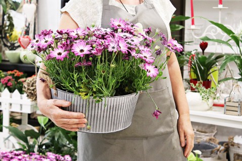 Foto : 6 tips om optimaal te genieten van bloemen in huis