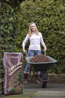 Onkruid, slakken en katten zijn grote ergernissen van tuinbezitters. Cacaodoppen bieden uitkomst. Terwijl je geniet van het decoratieve effect van cacaodoppen in de tuin, zijn de doppen met geheel andere zaken bezig.