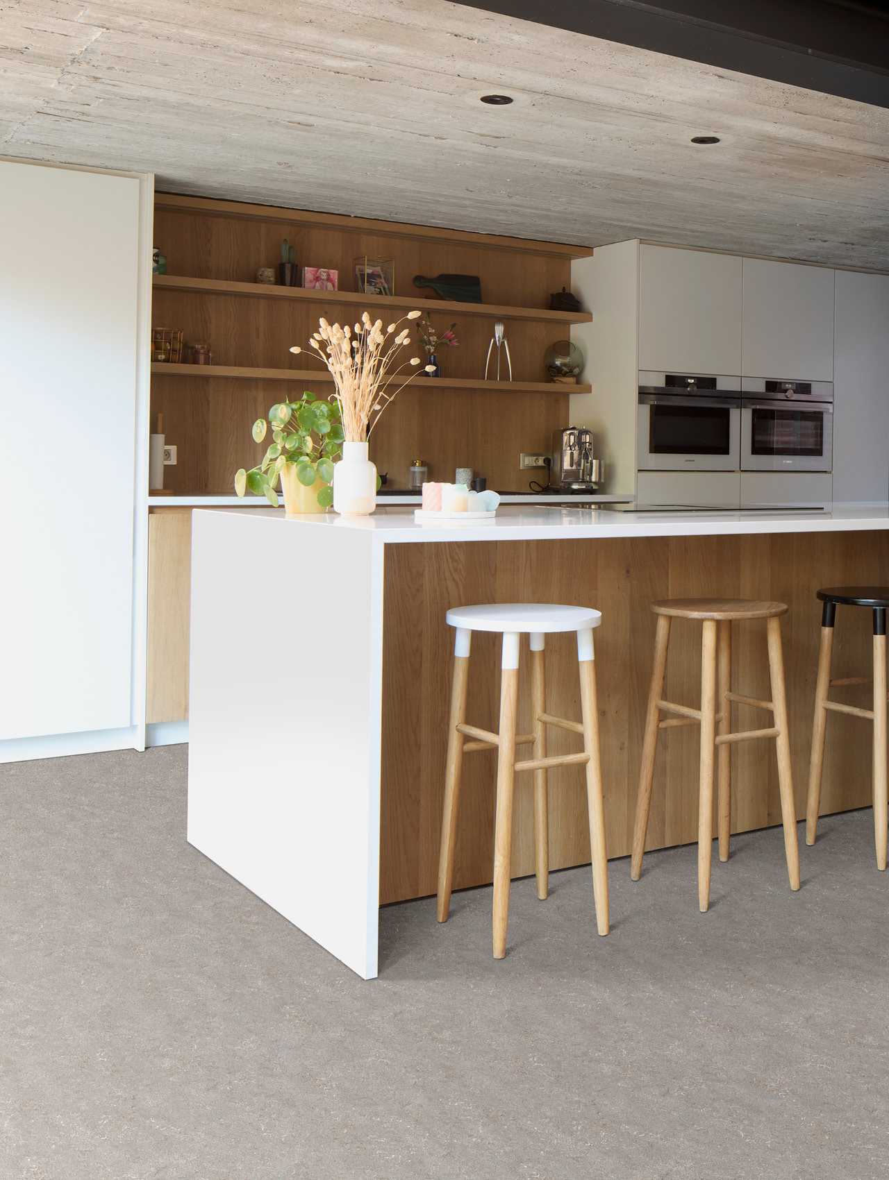 Foto: Dynamic-Lino-M-Website-1