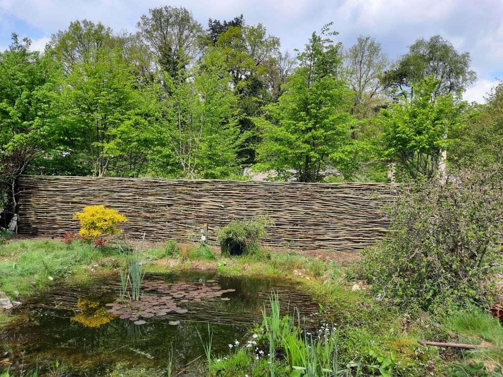 Foto: Wilhout_wilgentenen_schuttingen_04