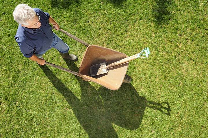 Foto: kosten-tuinonderhoud