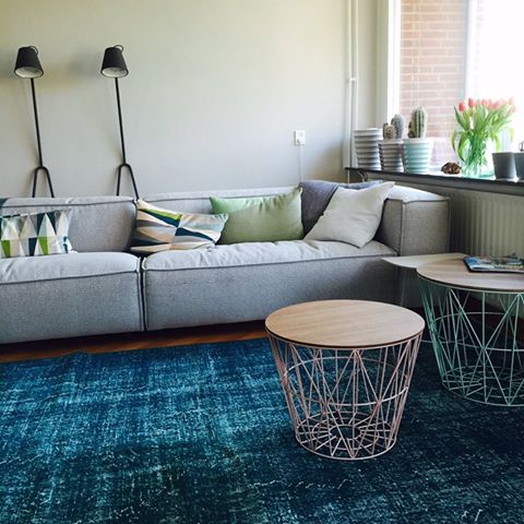 Foto: 11407192 974454252594832 2114640823189264221 n