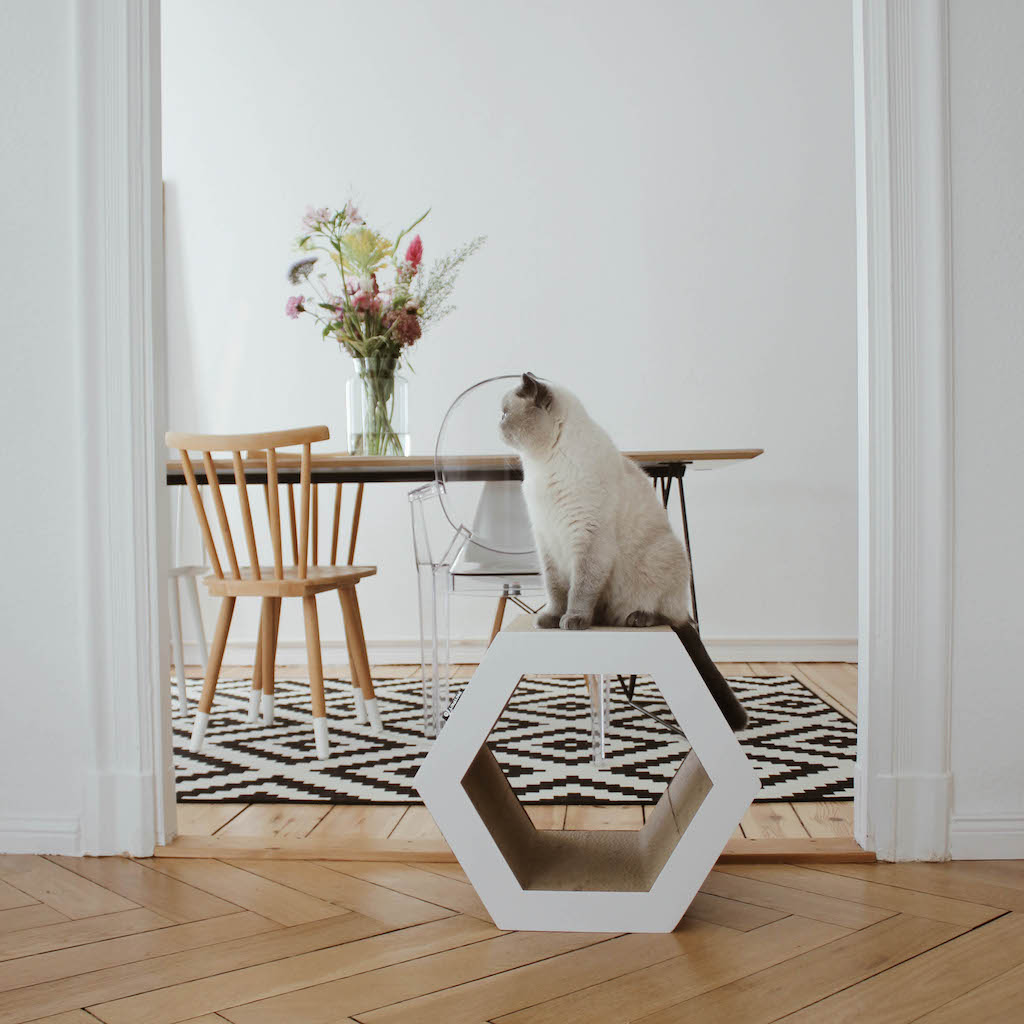 Hexa/000-HEXA-Hoofdafbeelding-District-70-huisdier-pet-hond-kat-dog-cat-accessoires.jpg