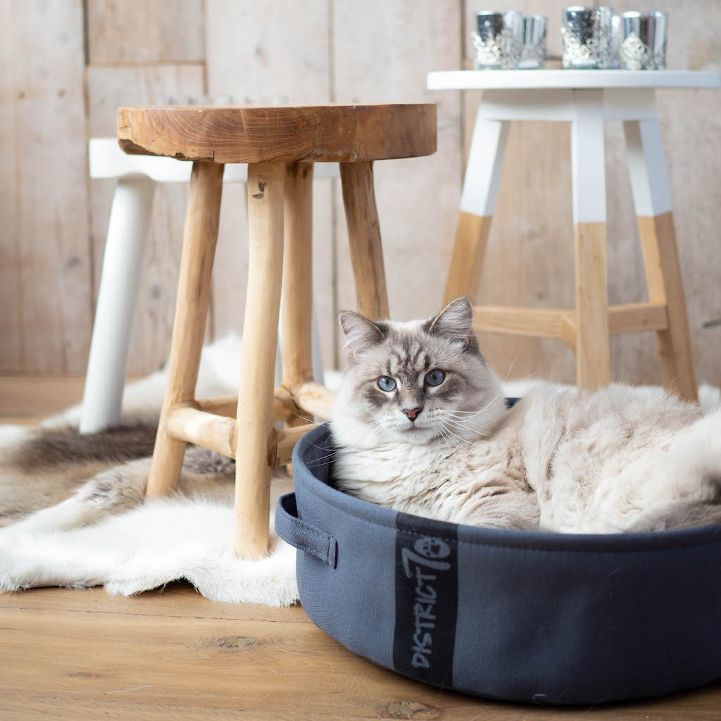 Foto: District 70 huisdier pet hond kat dog cat accessoires LOUNGE1