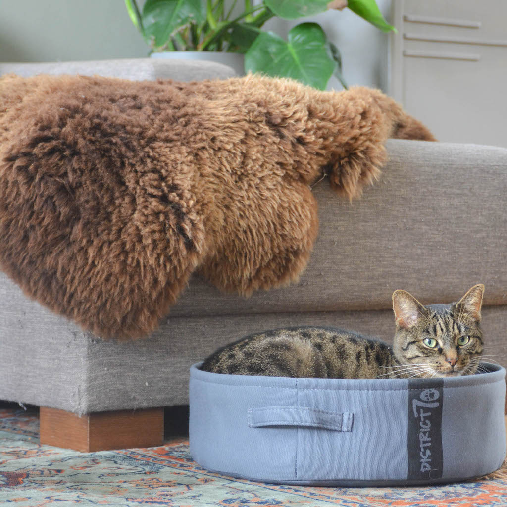 Foto: District 70 huisdier pet hond kat dog cat accessoires LOUNGE2