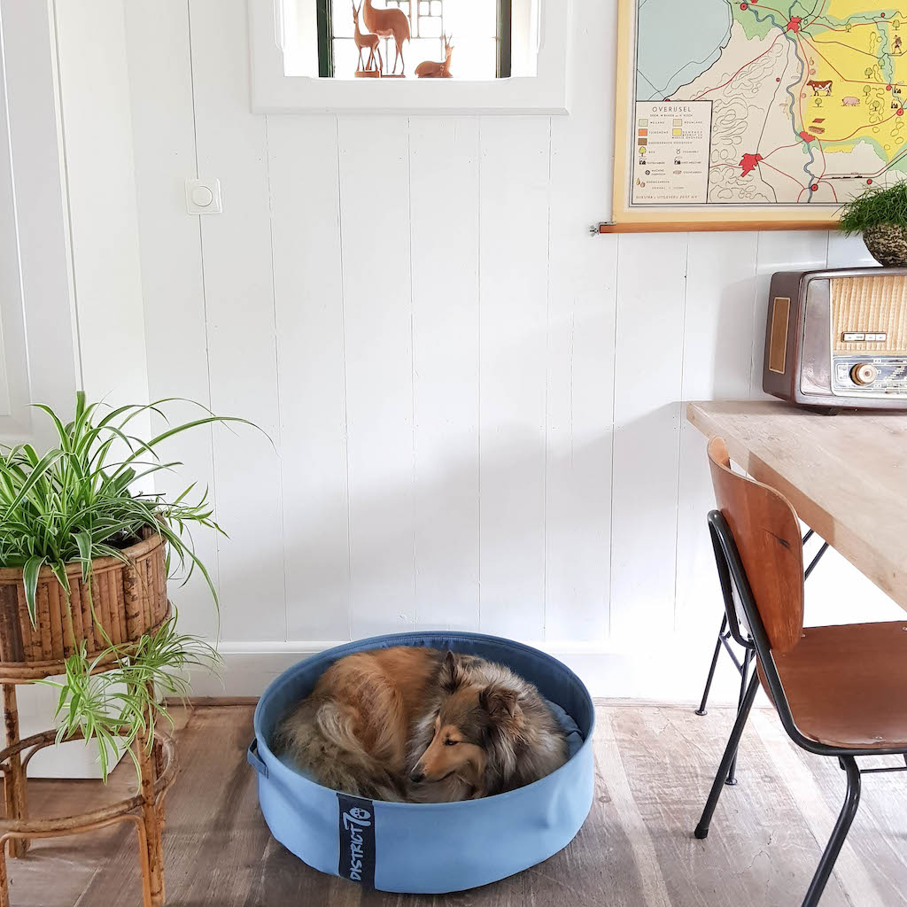 Foto: District 70 huisdier pet hond kat dog cat accessoires LOUNGE3