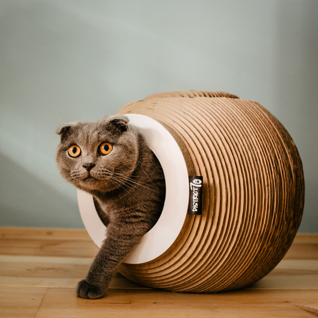 Foto: 000 ORB Hoofdafbeelding District 70 huisdier pet hond kat dog cat accessoires