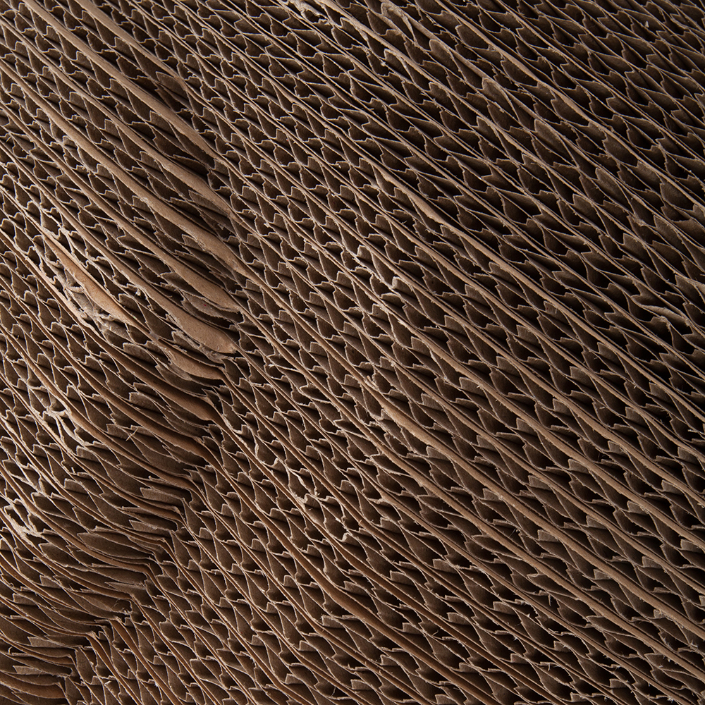 Foto: District 70 huisdier pet hond kat dog cat accessoires 8717202613663 5