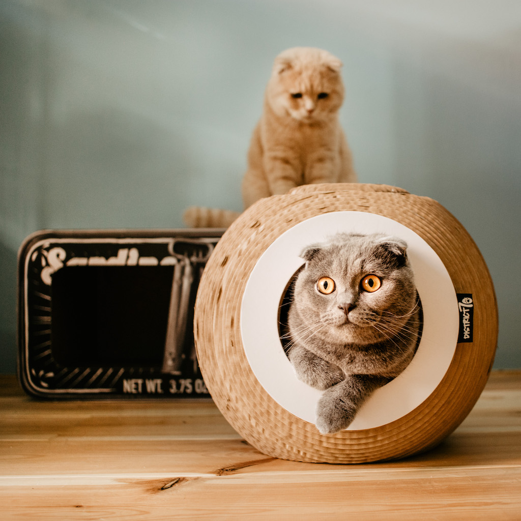 Foto: District 70 huisdier pet hond kat dog cat accessoires ORB 1