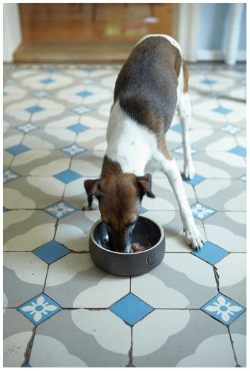 Foto: 43b43b445ff808e9d7306e54b2e7abc4