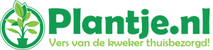 Profielfoto van Plantje.nl
