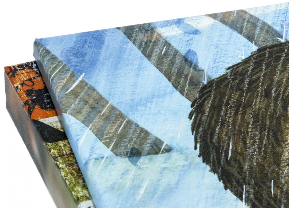 Foto: w3 bg canvas width 2x