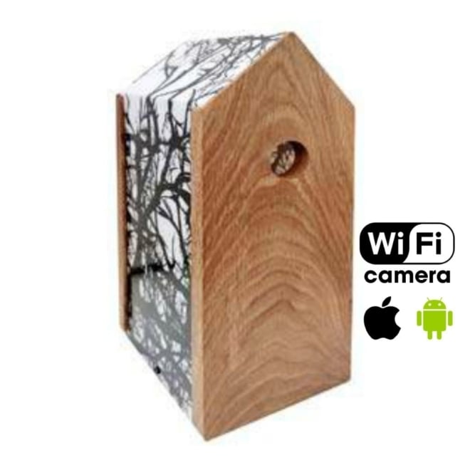 Foto: 00005664 beest vogel vogelhuisje nestkastje twigs