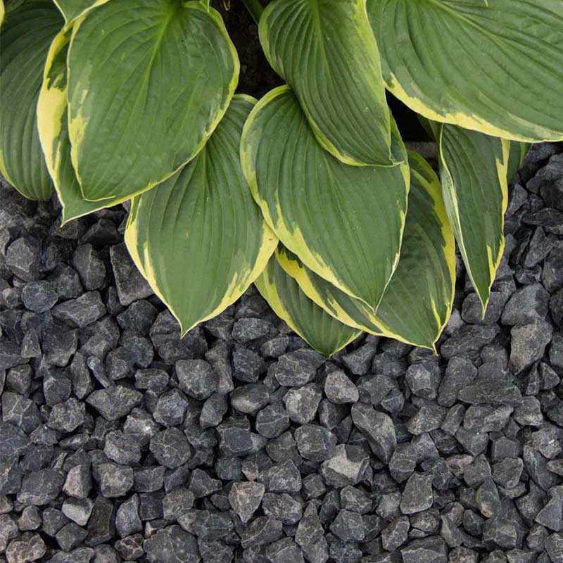 Foto: basalt split 1632 aangelegd