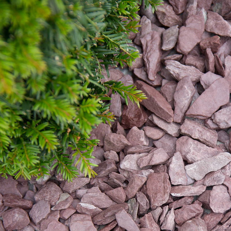 Foto: canadian slate paars 1530 aangelegd