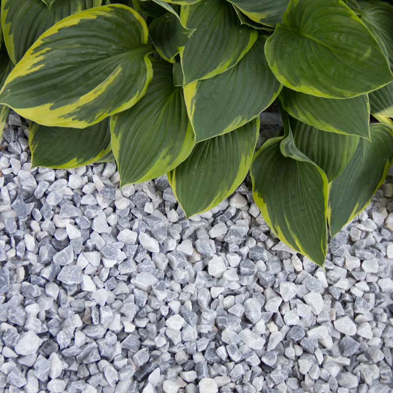 Foto: icyblue split 8 16 aangelegd