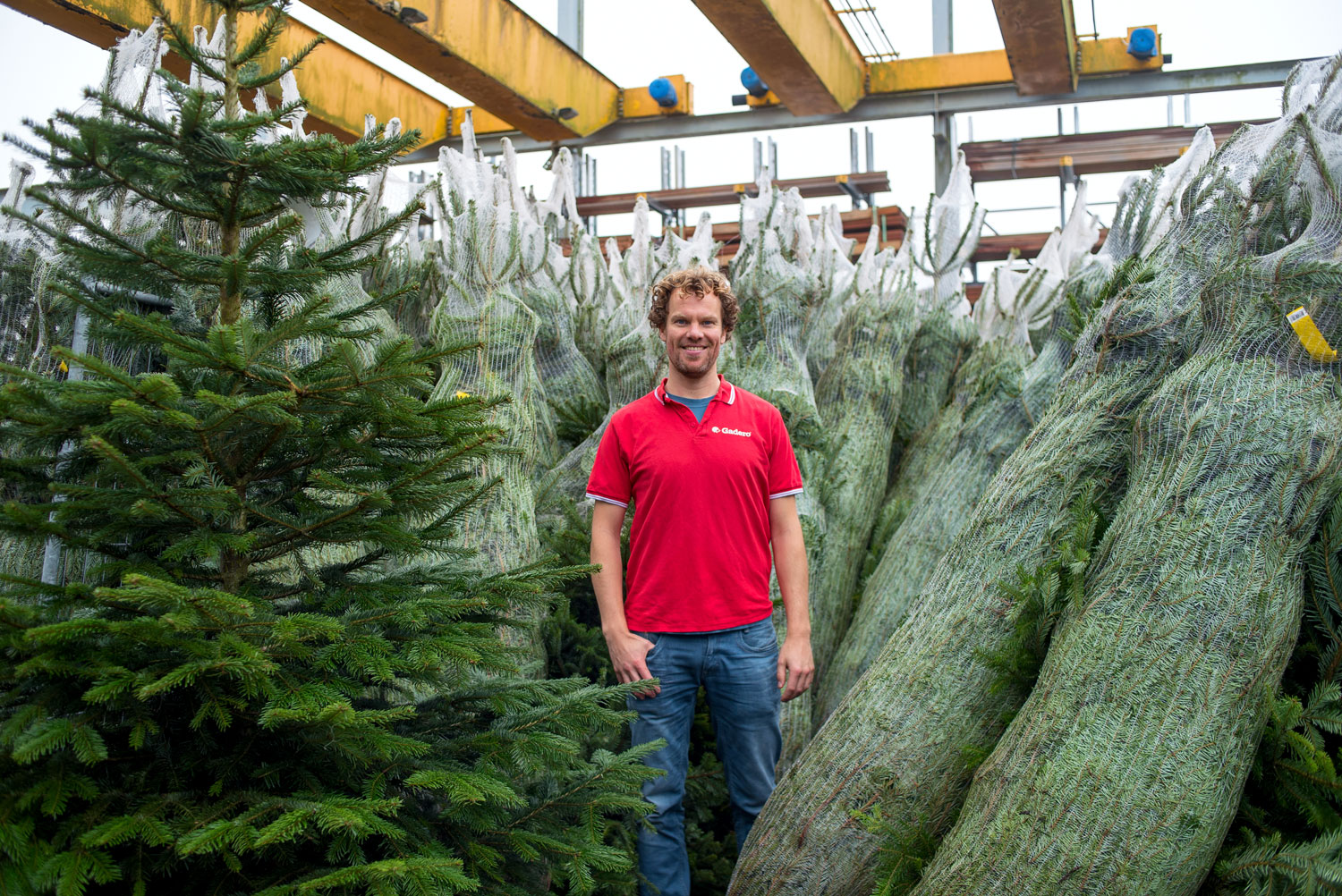 Foto: henkjan kerstboom