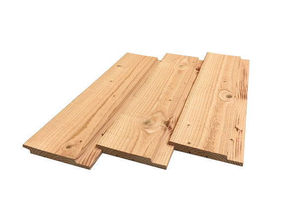 Foto: wonennl channelsiding lariks douglas01